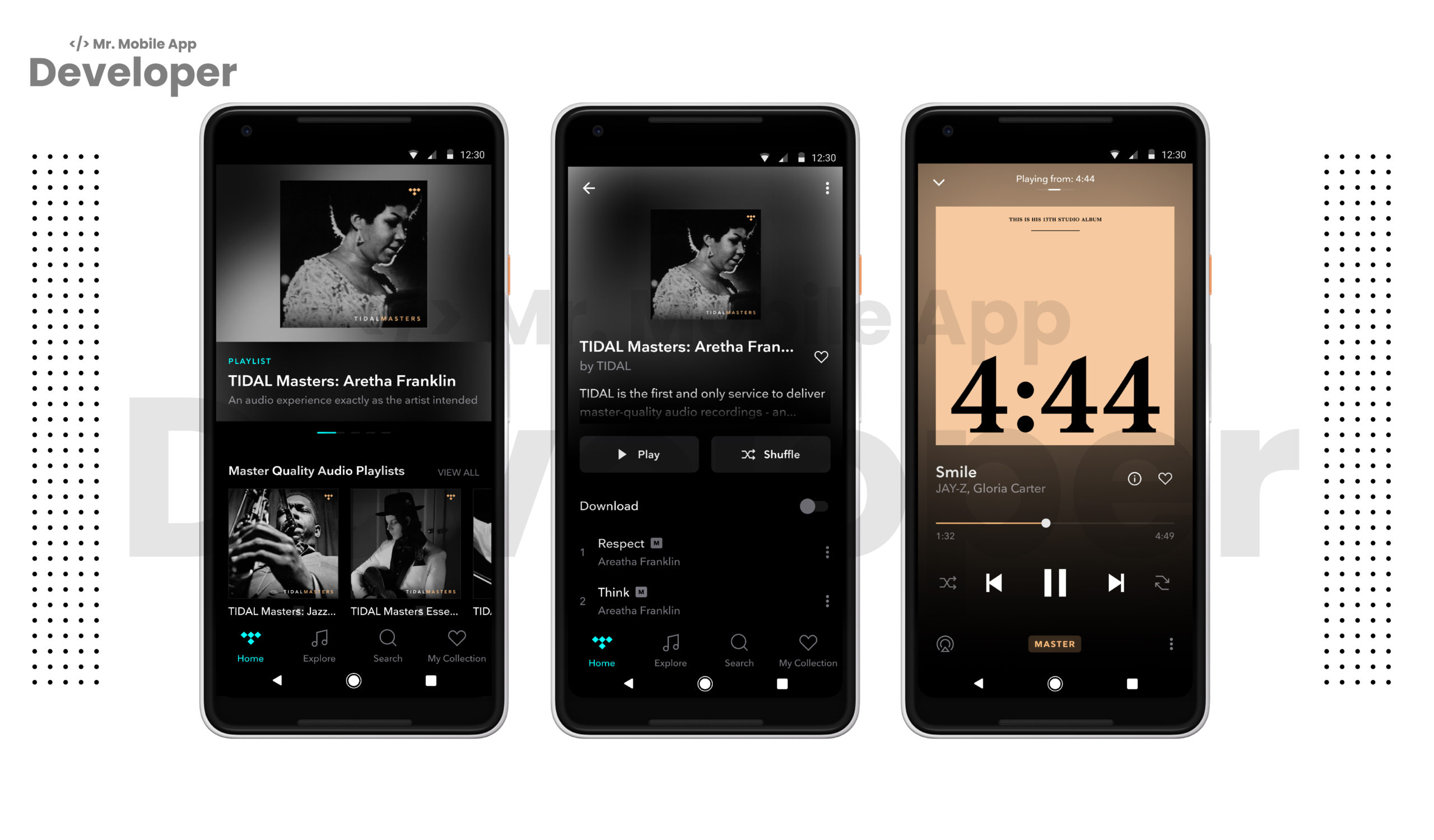 How Much Does It Cost To Build A Music App like Tidal